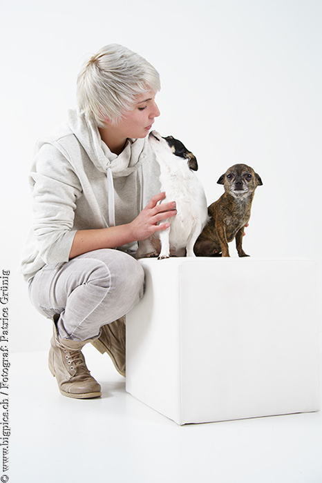 Hunde Shooting / Fotoshooting mit Tieren