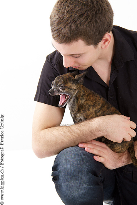 Hunde Shooting / Fotoshooting mit Tieren