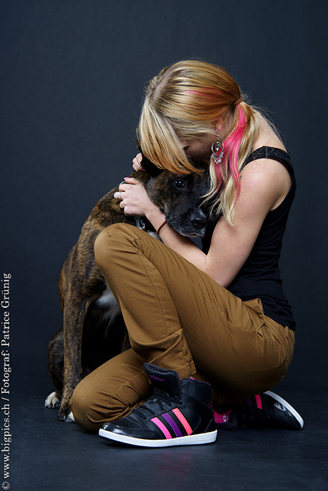 Hunde Shooting / Fotoshooting mit Tieren