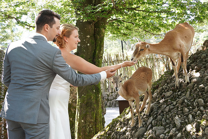 Hochzeitsreportage Tierpark Goldau