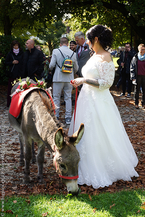 Hochzeitsreportage Hochzeit Zofingen