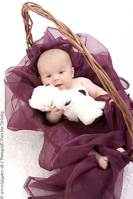 Fotoshooting, Familienportrait, Baby and Kids