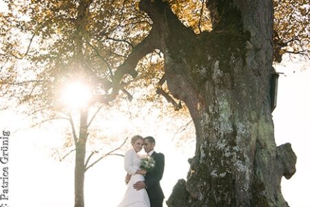 Hochzeitsfoto vom Hochzeitsfotografen auf dem Heiteren in Zofingen nähe Oftringen. Brautpaar unter einem Baum